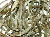 Todas propiedades blanco