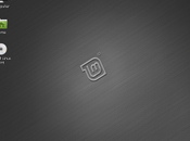 Disponible Linux MInt LXDE