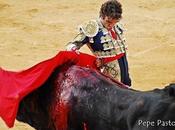 Toros