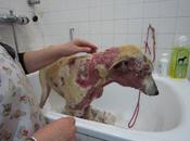 Volvió nacer entre tinieblas