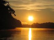 atardecer selvas?