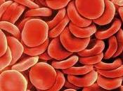 Desarrollan Globulos Rojos Artificiales