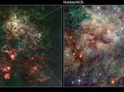 nebulosa Tarántula detalle