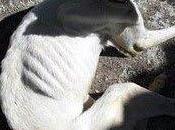 Vida, historia interminable