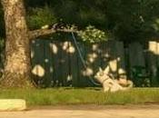 Concurso: imagen pertenece a...IMAGEN (Marzo 2011)