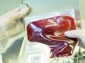 Proyecto para producir sangre cantidades industriales