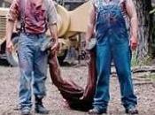 Reseña cine: TUCKER DALE EVIL