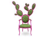 Silla prickly: silla cactus