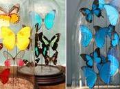 Ideas regalo mariposas para madre