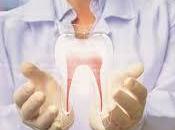 Mexicanos extraen células madre dientes para regenerar tejidos órganos.