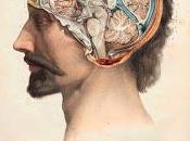 Hurgando cerebro
