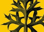 Ordesa. Manuel Vilas.