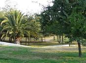 Fotografiando Parque Ohiggins
