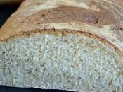 Barras cerveza Domus