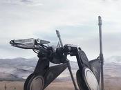 pTERRA-5AUR