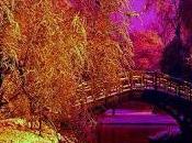 quiero cerrar ojos...