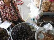 Increíble Camboya, temores altos tarántula puede salirse menú