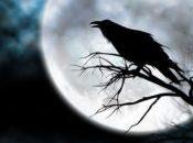 significado espiritual pájaros cantan noche. ¿Los escuchado?