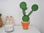 Cactus posavasos