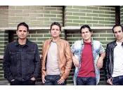 Stereocolor Gotelé Hops