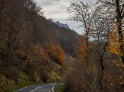 Desde carretera