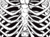 Vida interior sobre fondo oscuro.