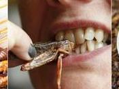 Comer insectos: beneficios para salud riesgos