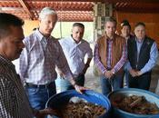 Busca edoméx obtener denominación origen mezcal producido entidad