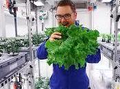 Logran cultivar vegetales tierra, solar Antártida.