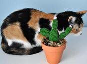 Cactus ganchillo