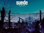 Suede anuncia disco