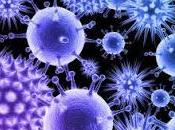Bloqueando Virus evita Reproduzca Célula