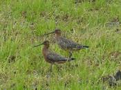 Viajando juntos, momento..