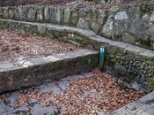 fuente secado