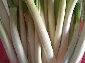Calçots horno