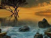 Rodearte Gente Pesimista Tiene Efectos Negativos Cerebro