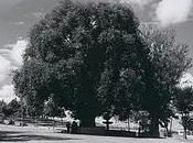 Relato Refugio Deus Nuke