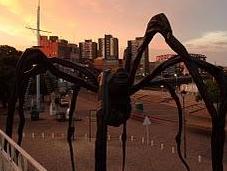 araña Bourgeois paseo Buenos Aires