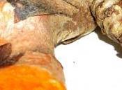 Propiedades curcuma