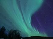 Auroras