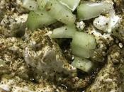 Jocoque zaatar