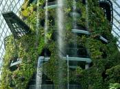 ¿jardines verticales cuenca?