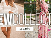 Descubriendo Elegrina