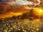 vida instante...