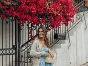 Smocking Dress