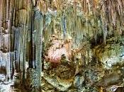 Nueva especie descrita Cueva Nerja (Málaga)