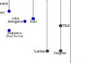 neandertal Mark Rose