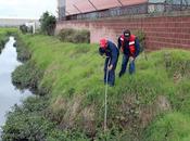 Monitorean, desazolvan rectifican ríos cuerpo agua edoméx para disminuir riesgos inundaciones