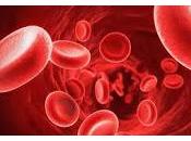 Desarrollan Proteínas Terapéuticas partir Sangre Humana