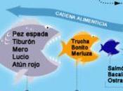 veneno esconde nuestros mares.